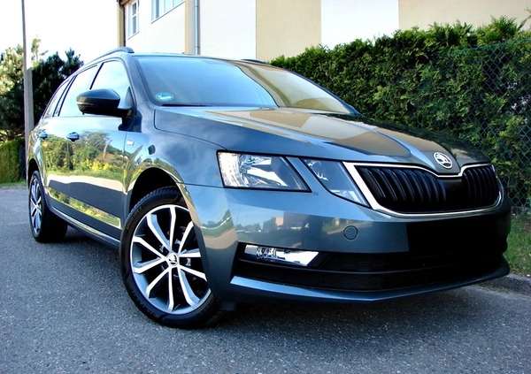 Skoda Octavia cena 54900 przebieg: 220000, rok produkcji 2019 z Elbląg małe 407